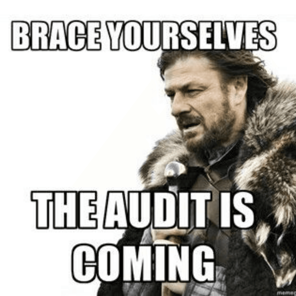 A meme featuring the 'Brace Yourselves' character from Game of Thrones, with the superimposed white text caption that reads: 'BRACE YOURSELVES THE AUDIT IS COMING.'